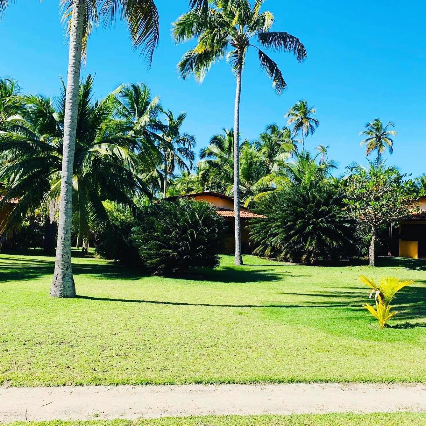 Pousada Côté Sud São Miguel dos Milagres Exterior foto
