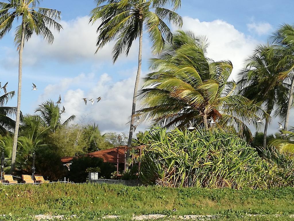 Pousada Côté Sud São Miguel dos Milagres Exterior foto